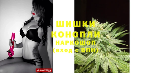гашик Надым